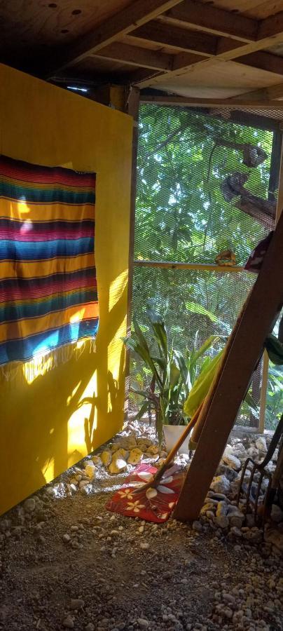 Treehouse Above The Beach Port Antonio Exterior foto